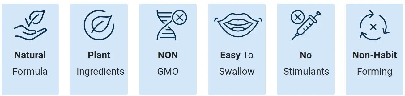 zencortex official website
